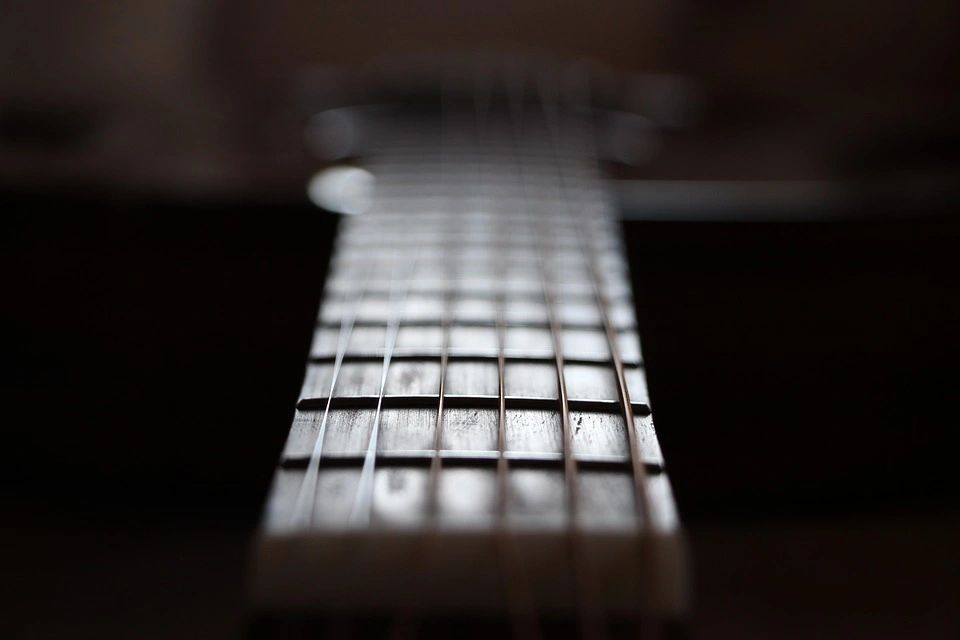 Guitar fretboard strings close up